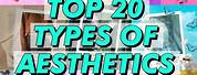 Top 10 Most Popular Aesthetics