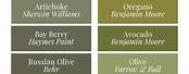 Top Olive Green Paint Colors