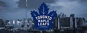 Toronto Maple Leafs Phone Wallpaper