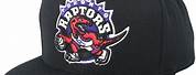 Toronto Raptors Snapback Hats