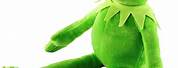 Toy Factory Kermit the Frog Plush