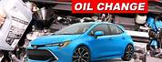 Toyota Corolla Hatchback 2019 SE Oil Filter