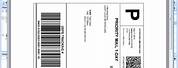 UPS Battery Backup Shipping Label
