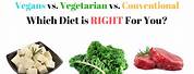 Vegan vs Non-Vegan Diet Cartoon