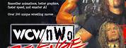 WCW/NWO Revenge Poster