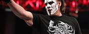 WWE Wrestlers with Face Paint