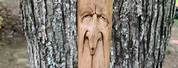 Walking Stick Wood Spirit Carving