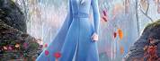 Walt Disney Presents Frozen 2 Poster