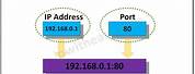 What Is Source Port Number in IP Address