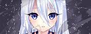 White Hair Blue Eyes Anime Girl Wolf