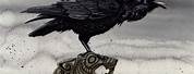 White Raven Norse Art