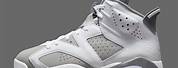 White and Grey Jordan 6
