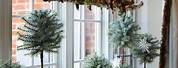 Window Decorations Christmas Topiaries