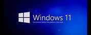 Windows 11 Download 64-Bit with Cellular Data