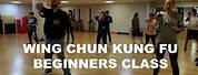 Wing Chun Kung Fu Training