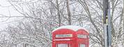 Winter Wallpaper with Red Telephone Box