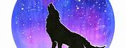 Wolf Drawings Galaxy Howling