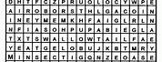 Word Search for Adults Printable PDF