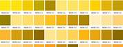 Yellow Pantone Color Reference Chart