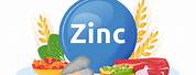 Zinc Rich Food PNG