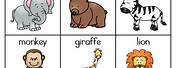 Zoo Animals Kindergarten Vocabulary