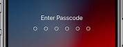 iOS 13 Passcode