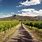 Hunter Valley Wineries