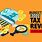 Tax Revenue