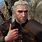 Witcher Video Game