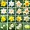 Narcissus Varieties