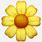 Daisy Flower Emoji