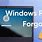 Windows Forgot Pin