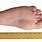 1 Feet Measurement