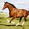 10 Best Horse Breeds