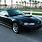 2003 Ford Mustang GT Black