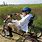 3 Wheeled Bicycles for Seniors