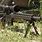338 Lapua Mag Rifles