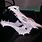 3D Printed Dragon Skull