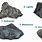 4 Types of Coal