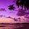 4K Ultra HD Wallpaper Palm Tree Sunset