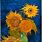 5 Sunflowers Van Gogh