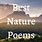 A Nature Poem