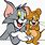 A Picture of Tom and Jerry
