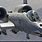 A-10 Warthog Aircraft