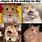 Adorable Hamster Memes