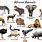 African Animals Names List