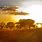 African Sunrise Images