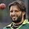 Afridi Pic