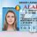 Alabama Drivers License Template