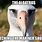 Albatross Funny